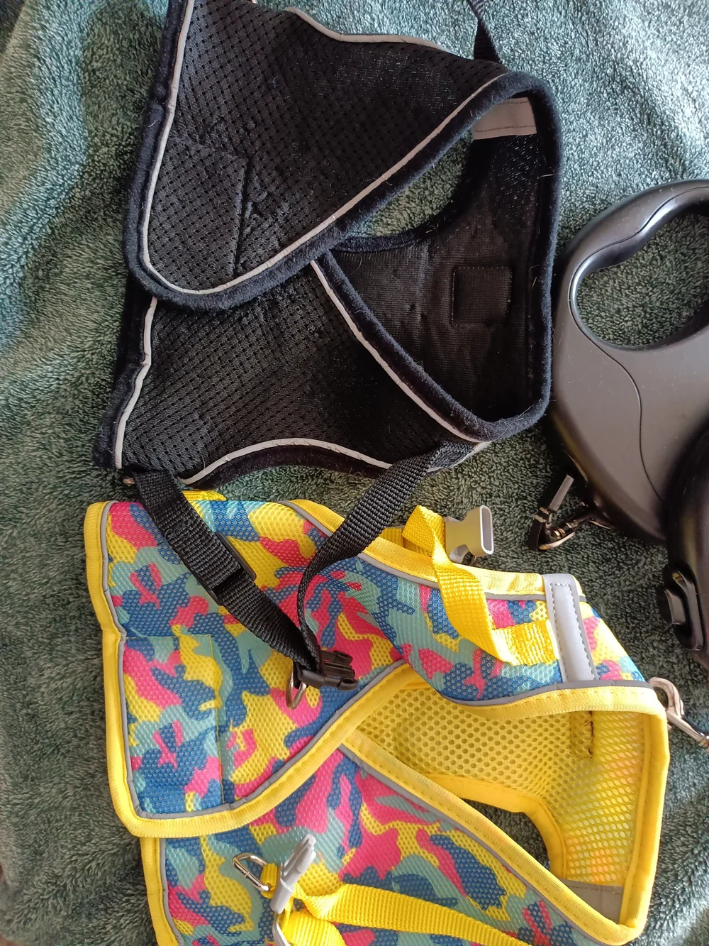 Dog Harnesses And Retractable Leashes